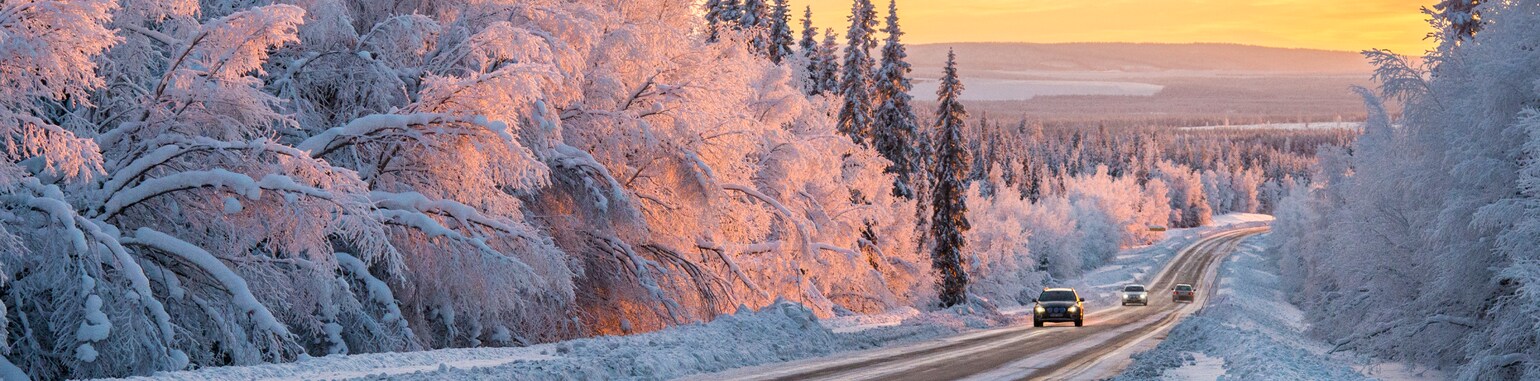 Allt för sportlovet