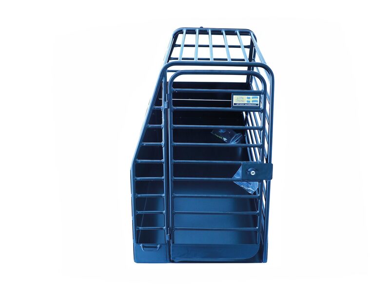 Alftaburen Enkelbur till Porsche