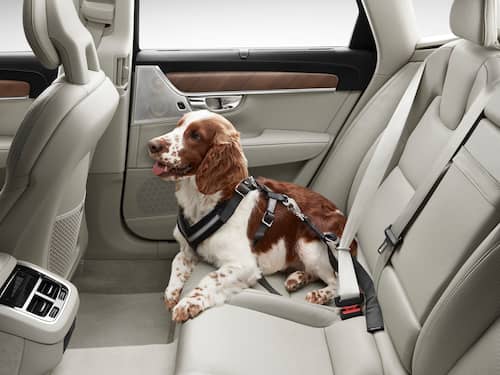 Volvo Original Hundsele