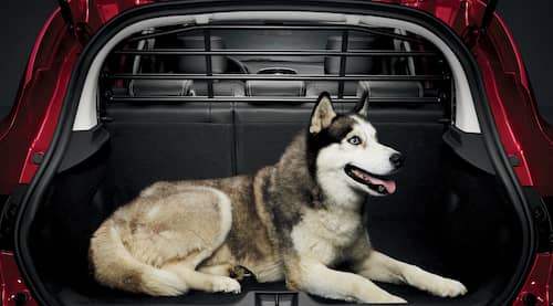 Renault Original Lastrumsgaller