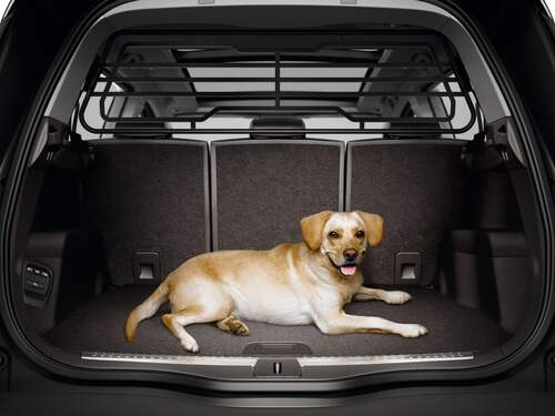 Renault Original Lastrumsgaller