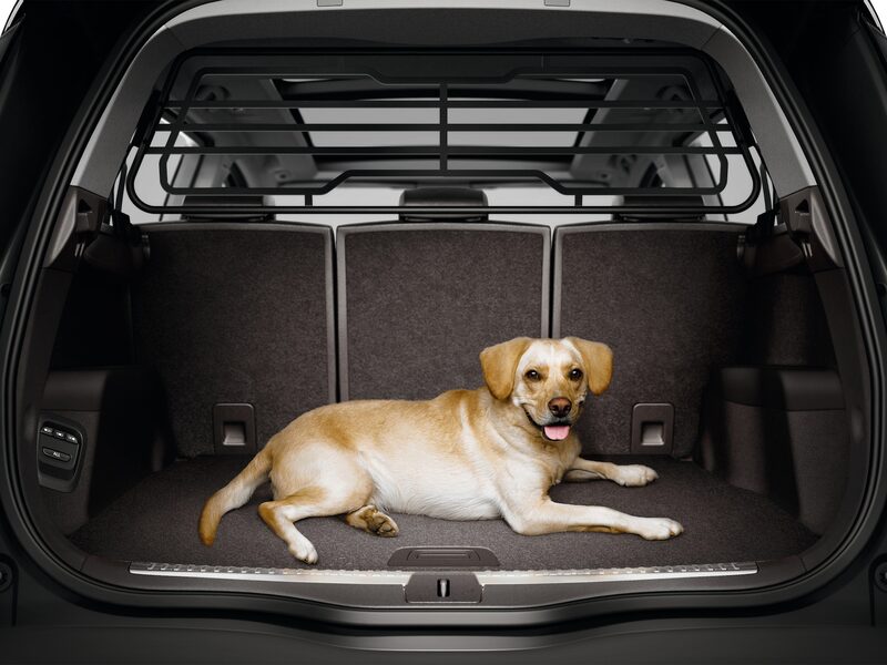 Renault Original Lastrumsgaller