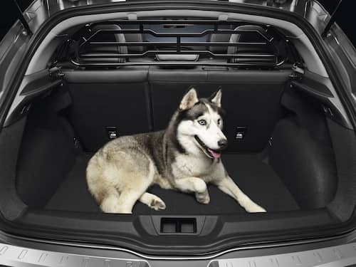 Renault Original Lastrumsgaller