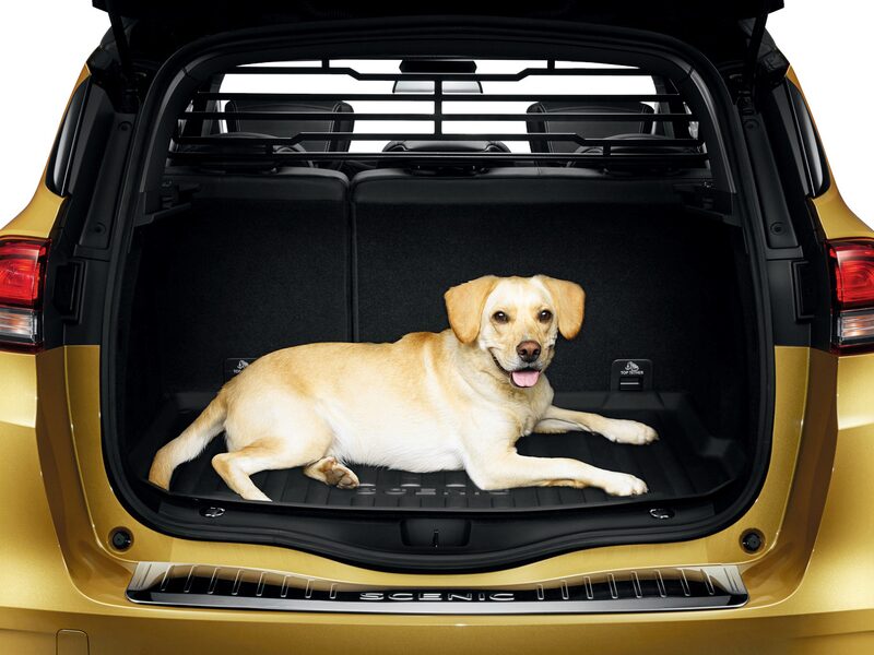 Renault Original Lastrumsgaller