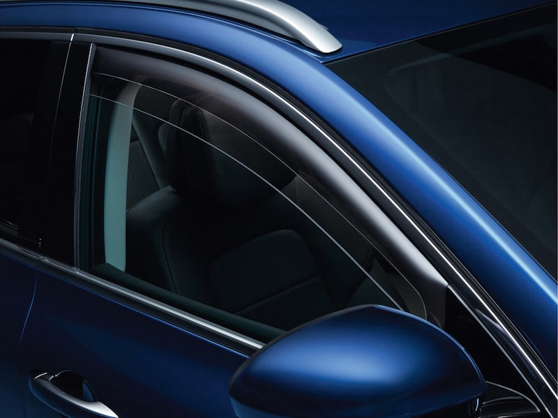 Renault Original Vindavvisare