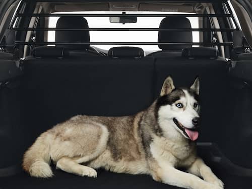 Dacia Original Lastrumsgaller