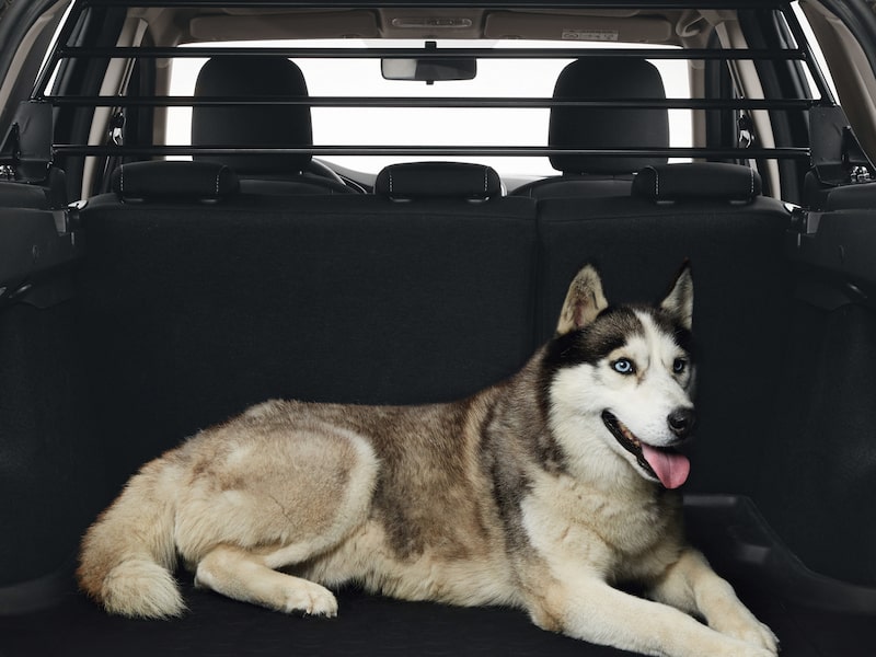 Dacia Original Lastrumsgaller