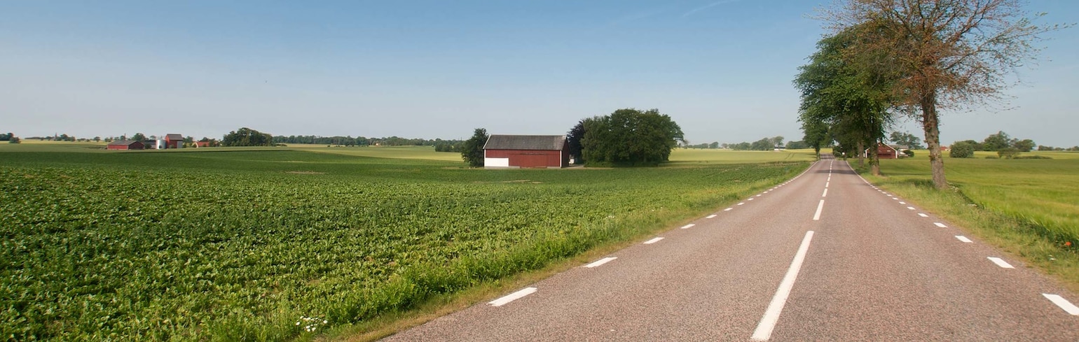 Köp dina nya sommardäck online