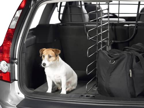 Volvo Original Längsgående Lastrumsvägg