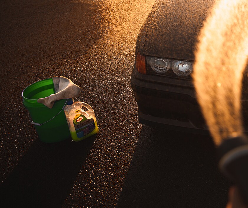 Turtle Wax