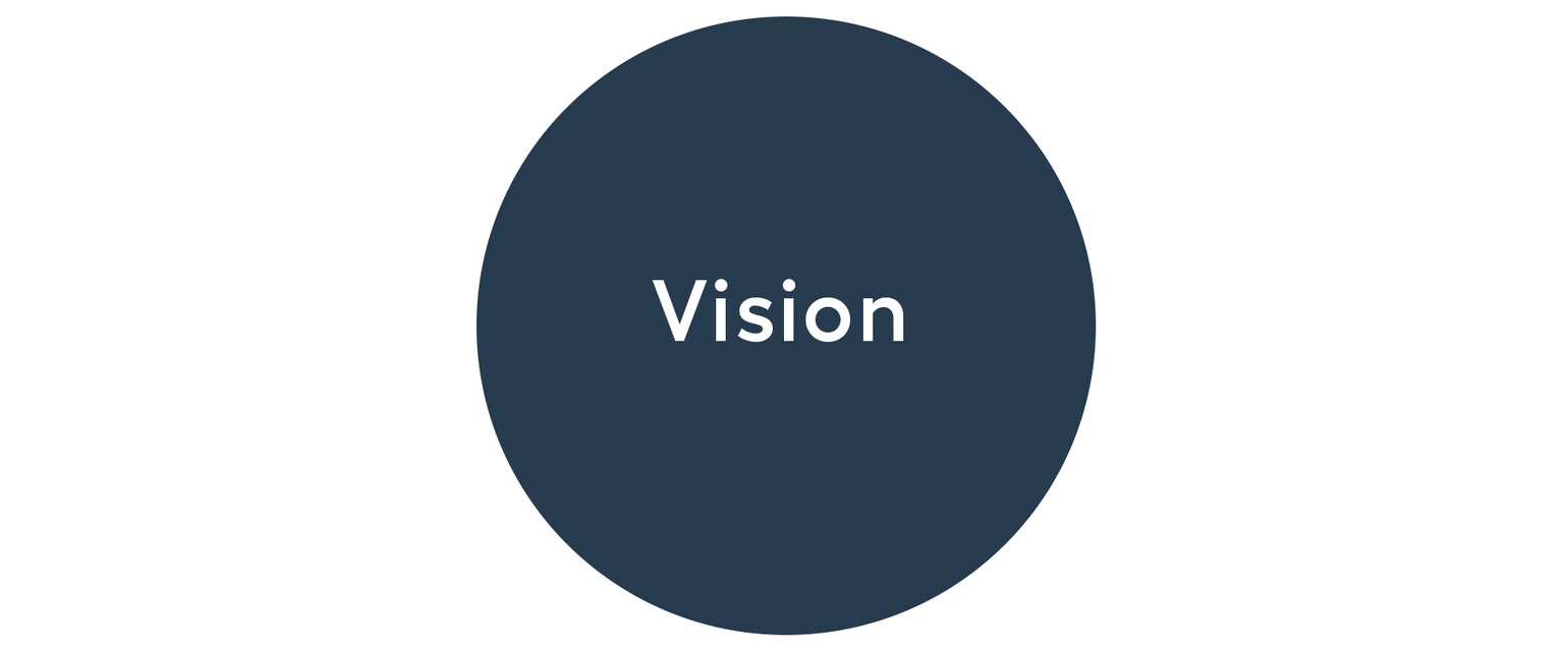 Vision